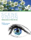 Scene Vision : Making Sense of What We See - eBook