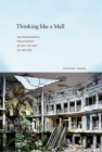 Thinking like a Mall : Environmental Philosophy after the End of Nature - eBook