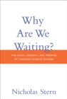 Why Are We Waiting? : The Logic, Urgency, and Promise of Tackling Climate Change - eBook