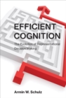 Efficient Cognition - eBook