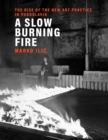 Slow Burning Fire - eBook