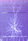Excitatory Amino Acids and the Cerebral Cortex - Book