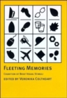 Fleeting Memories : Cognition of Brief Visual Stimuli - Book