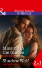 Missing In The Glades : Missing in the Glades (Marshland Justice, Book 1) / Shadow Wolf (Apache Protectors, Book 1) - Book