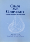 Chaos and Complexity : Scientific Perspectives On Divine Action - Book