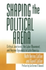 Shaping the Political Arena - Book