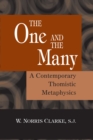 The One and the Many : A Contemporary Thomistic Metaphysics - eBook
