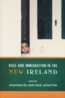 Race and Immigration in the New Ireland - eBook