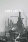 Among Ruins - Book