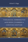 Theological Hermeneutics and the Book of Numbers as Christian Scripture - eBook