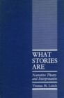 What Stories Are : Narrative Theory and Interpretation - Book