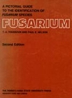 Pictorial Guide to the Identification of Fusarium Species 30 - Book