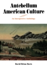 Antebellum American Culture : An Interpretive Anthology - Book