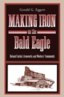 Making Iron on the Bald Eagle : Roland Curtin’s Ironworks and Workers’ Community - Book