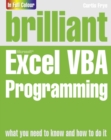 Brilliant Excel VBA Programming - Book