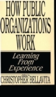 How Public Organizations Work : Learning from Experience - Book