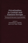 Privatization in Central and Eastern Europe : Perspectives and Approaches - Book