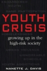 Youth Crisis : Growing Up in the High-Risk Society - Book