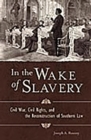 In the Wake of Slavery : Civil War, Civil Rights, and the Reconstruction of Southern Law - Book