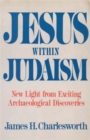Jesus Within Judaism - Book