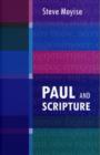 Paul and Scripture - Book