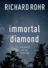 Immortal Diamond : The Search for Our True Self - Book