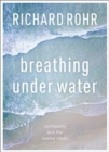 Breathing Under Water : Spirituality And The Twelve Steps - Book