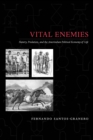 Vital Enemies : Slavery, Predation, and the Amerindian Political Economy of Life - Book