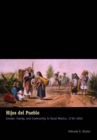 Hijos del Pueblo : Gender, Family, and Community in Rural Mexico, 1730-1850 - Book