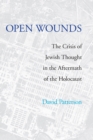 Open Wounds : The Crisis of Jewish Thought in the Aftermath of the Holocaust - eBook