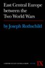 East Central Europe between the Two World Wars - Book