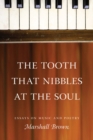 The Tooth That Nibbles at the Soul : Essays on Music and Poetry - Book