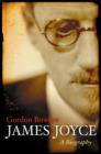 James Joyce : A Biography - eBook
