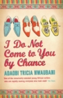 I Do Not Come to You by Chance - eBook