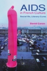 AIDS in French Culture : Social Ills, Literary Cures - Book