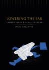 Lowering the Bar : Lawyer Jokes and Legal Culture - Book