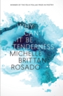 Why Can't It Be Tenderness - Book