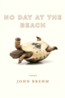 No Day at the Beach - Book