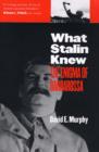 What Stalin Knew : The Enigma of Barbarossa - Book