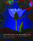 Adventures in Modern Art : The Charles K. Williams II Collection - Book