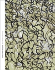Think of Them as Spaces : Brice Marden's Drawings - Book