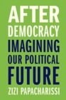 After Democracy : Imagining Our Political Future - Book