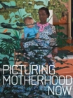 Picturing Motherhood Now - Book