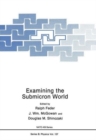 Examining the Submicron World - Book