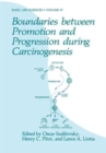 Boundaries between Promotion and Progression during Carcinogenesis - Book