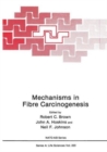 Mechanisms in Fibre Carcinogenesis - Book