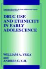 Drug Use and Ethnicity in Early Adolescence - Book