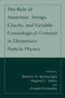 The Role of Neutrinos, Strings, Gravity, and Variable Cosmological Constant in Elementary Particle Physics - eBook