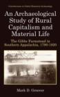 An Archaeological Study of Rural Capitalism and Material Life : The Gibbs Farmstead in Southern Appalachia, 1790-1920 - Book