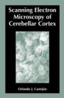 Scanning Electron Microscopy of Cerebellar Cortex - Book